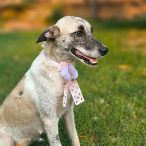 BIANCA LUNA