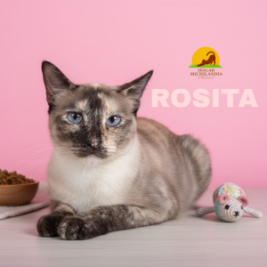 ROSITA